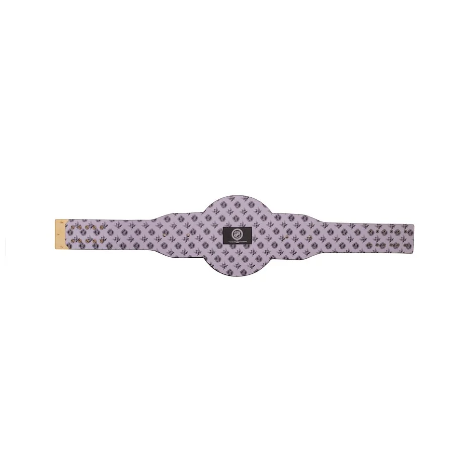 Anaheim Ducks NHL Championship Belt - Image 5