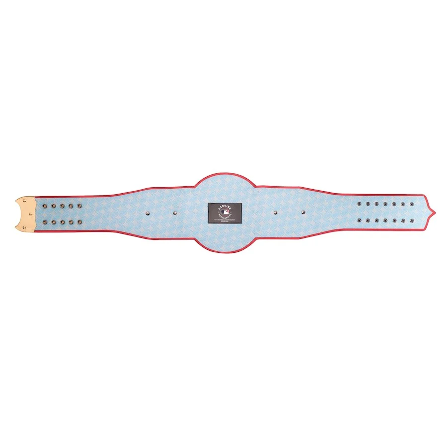 Arizona Diamondbacks MLB Championship Belt - Image 5