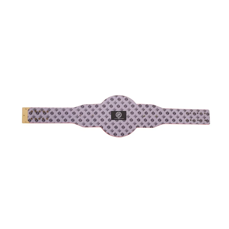 Edmonton Oilers NHL Championship Belt - Image 8