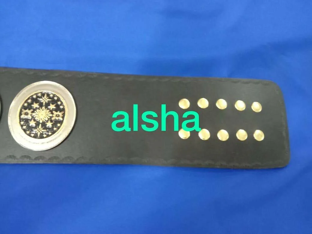 FLORIDA HEAVYWEIGHT Championship Belt - Image 7