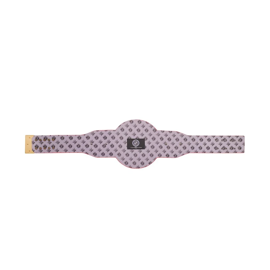 New Jersey Devils NHL Championship Belt - Image 7