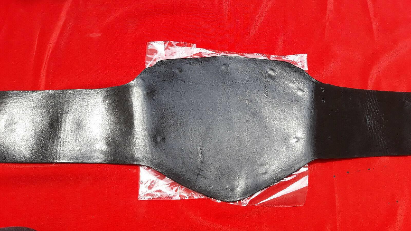 NWA CENTRAL STATES HEAVYWEIGHT ZINC Championship Belt - Image 10