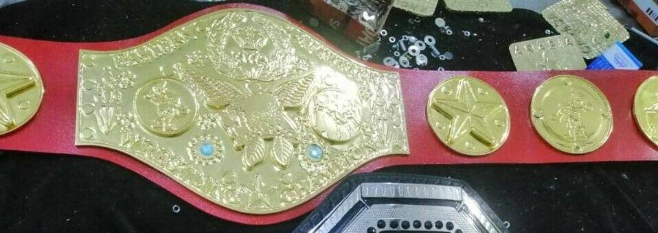 NWA EASTERN HEAVYWEIGHT Zinc Championship Belt - Image 6