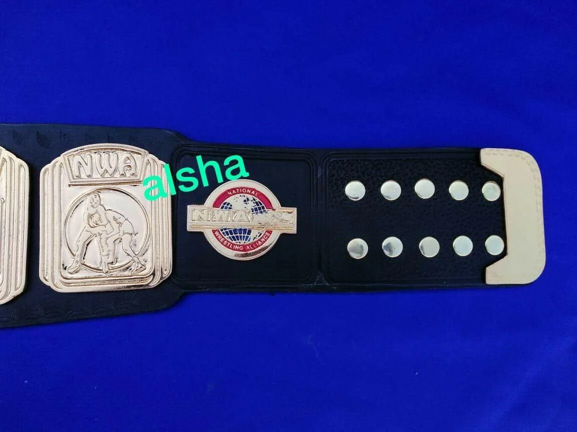 NWA NORTH AMERICAN HEAVYWEIGHT Zinc Championship Belt - Image 3