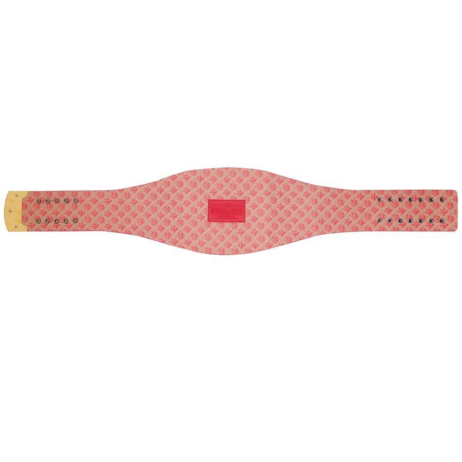 San Francisco 49ers Championship Belt - Image 4