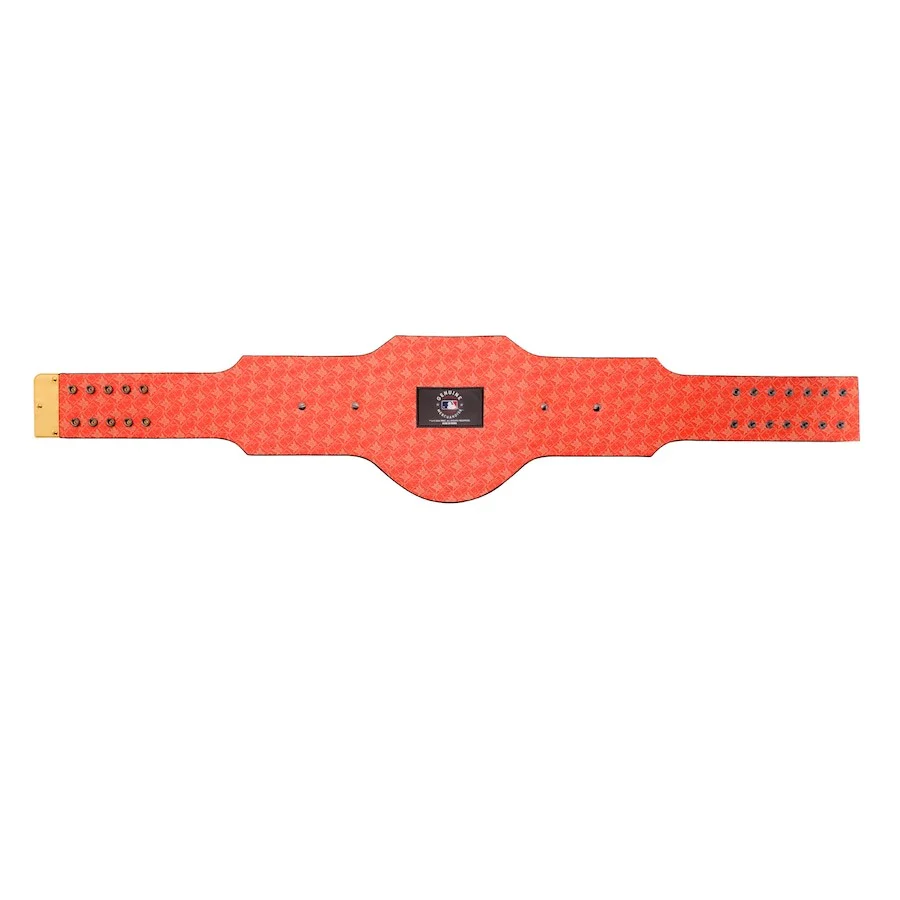 San Francisco Giants MLB Championship Belt - Image 5