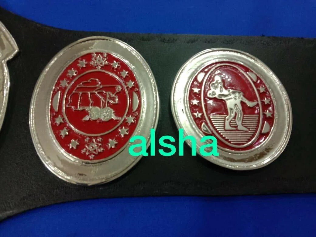 SOUTHERN HEAVYWEIGHT Zinc Metal Championship Belt - Image 4