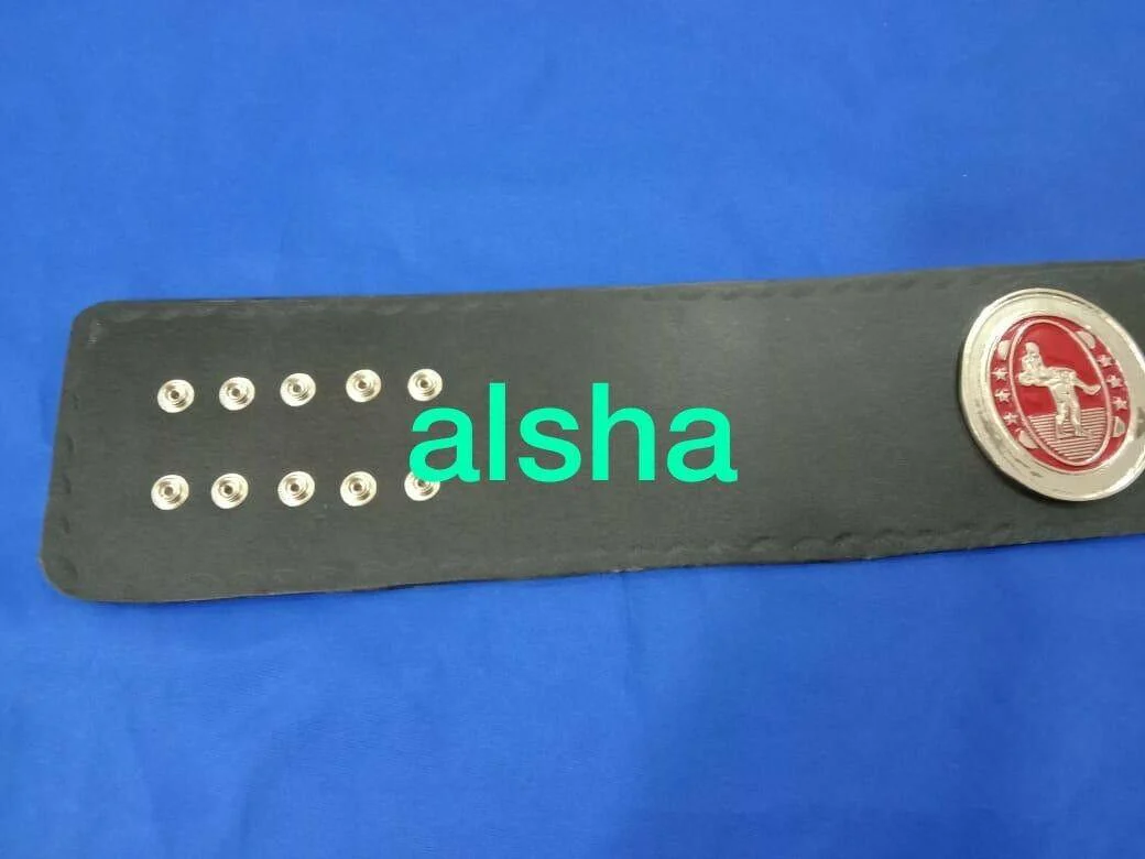 SOUTHERN HEAVYWEIGHT Zinc Metal Championship Belt - Image 7