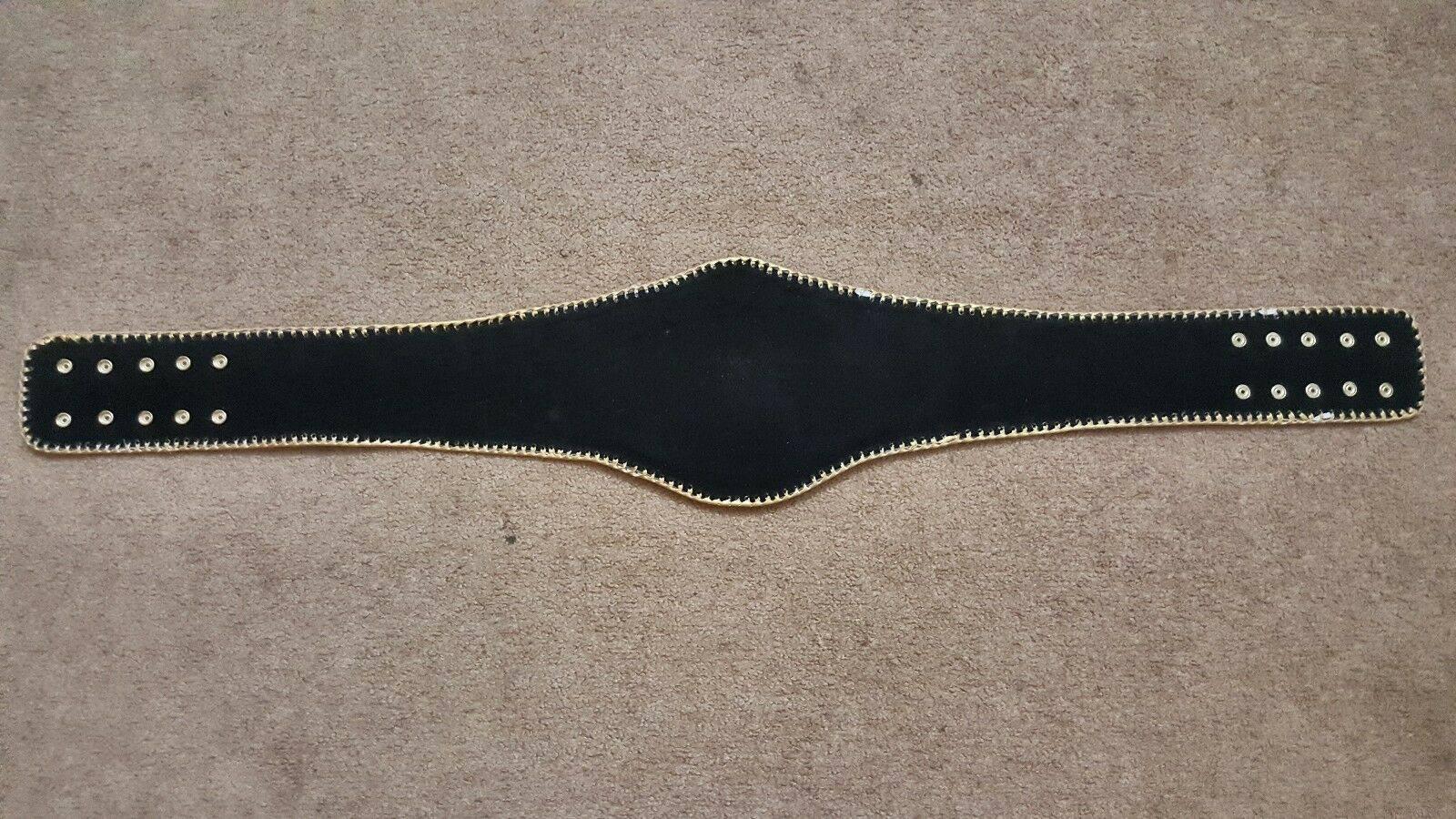 SOUTHWEST HEAVYWEIGHT Championship Belt - Image 4
