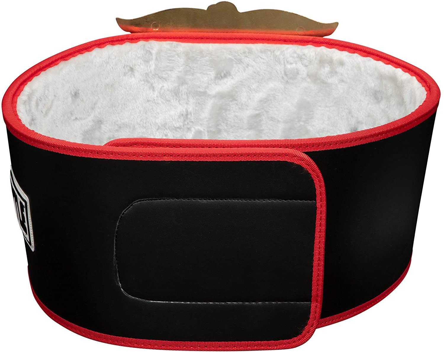 TITLE BOXING LEGACY Championship Belt - Image 2