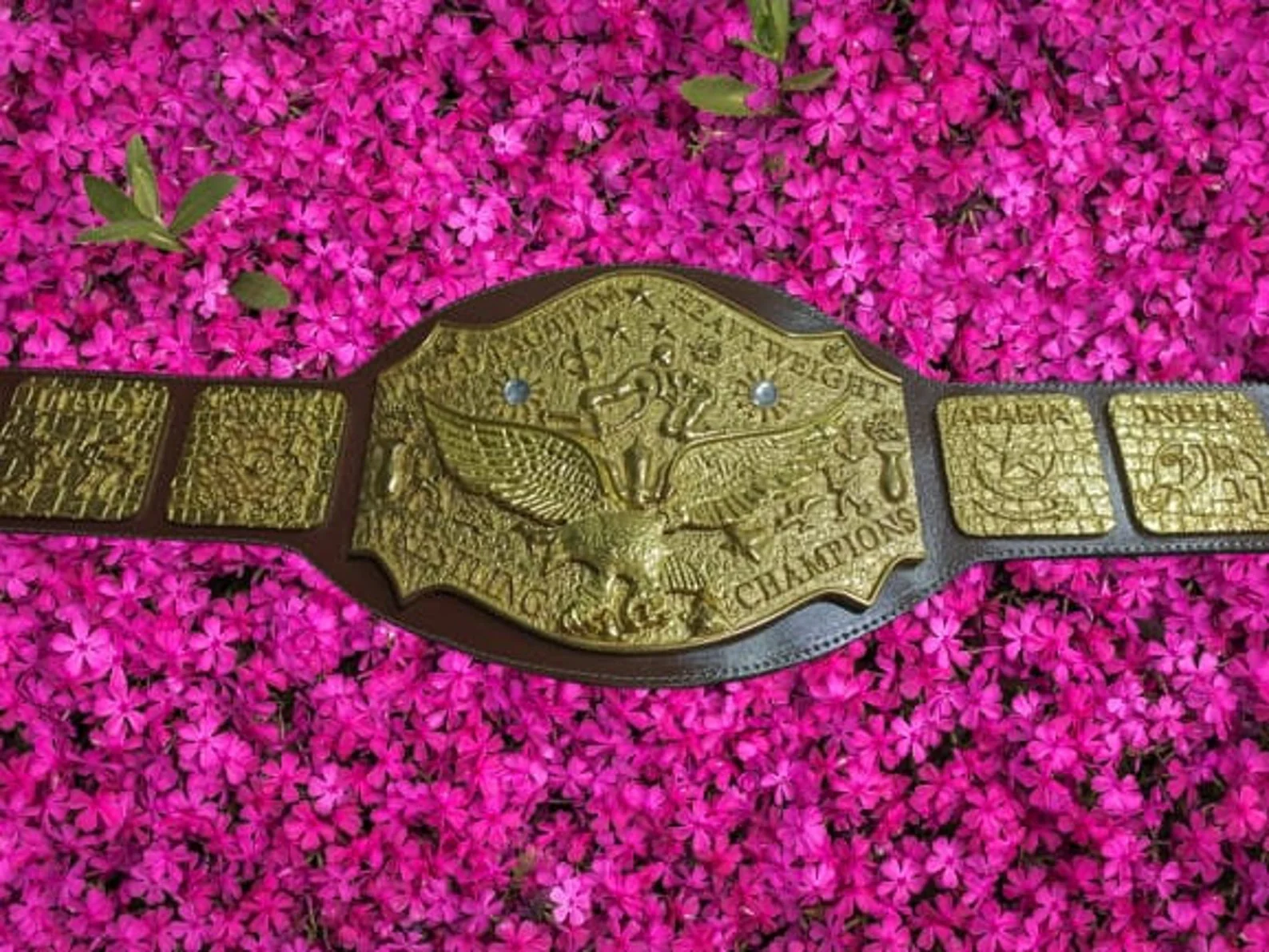NWA World Tag Team Title Belt – Zinc Die-Cast - Image 2