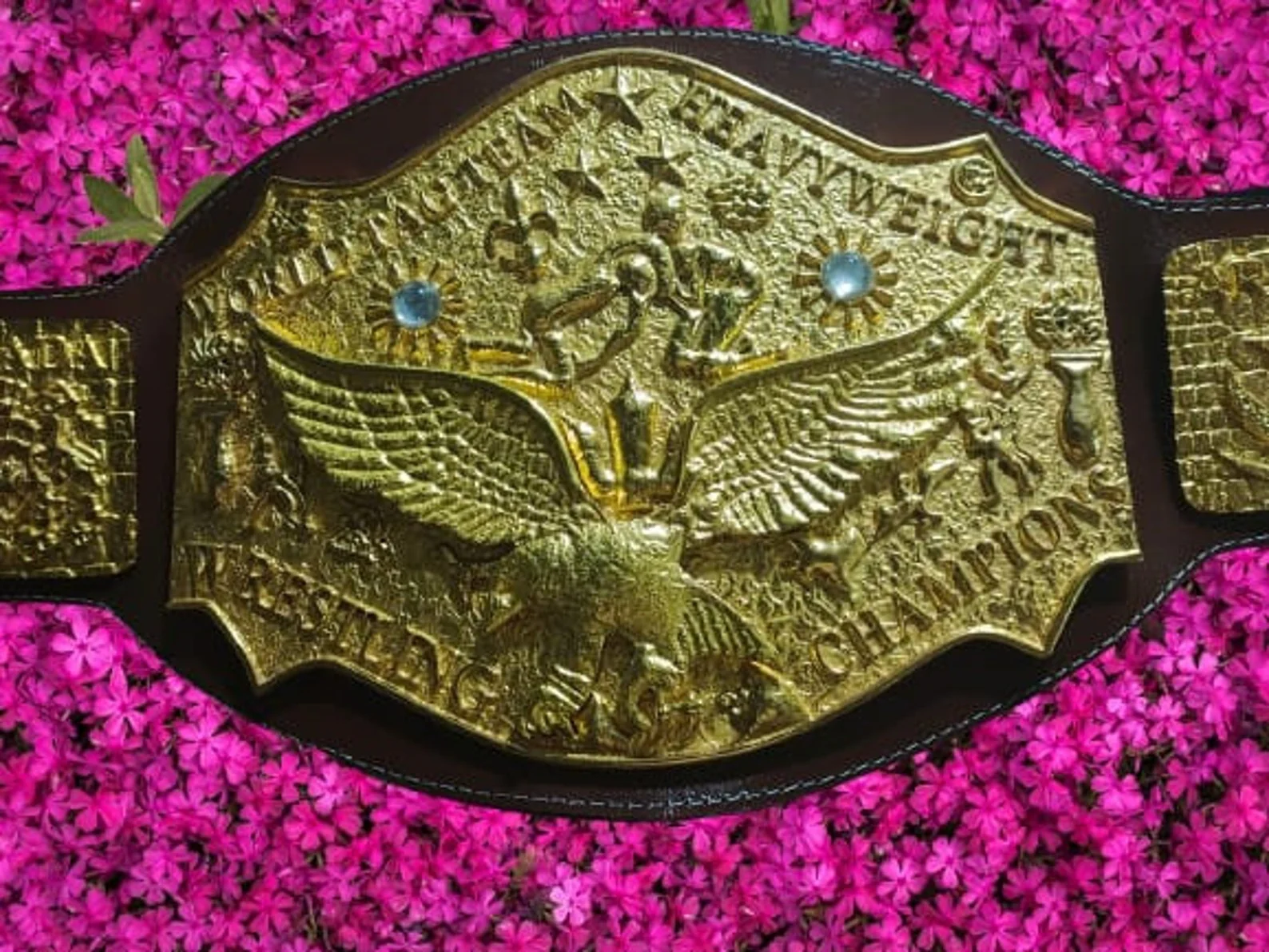NWA World Tag Team Title Belt – Zinc Die-Cast - Image 5