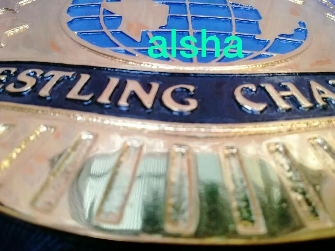 WCW HEAVYWEIGHT Zinc Championship Belt - Image 2
