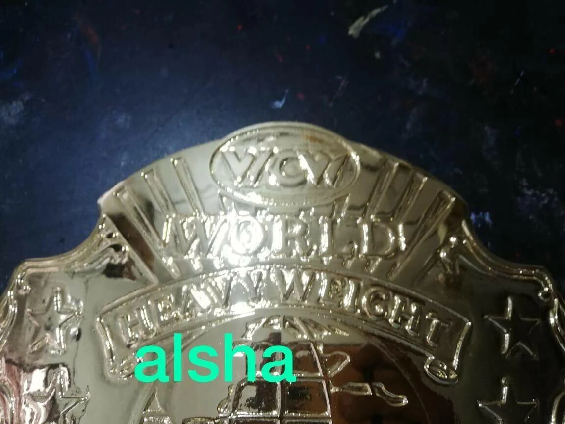 WCW HEAVYWEIGHT Zinc Championship Belt - Image 7