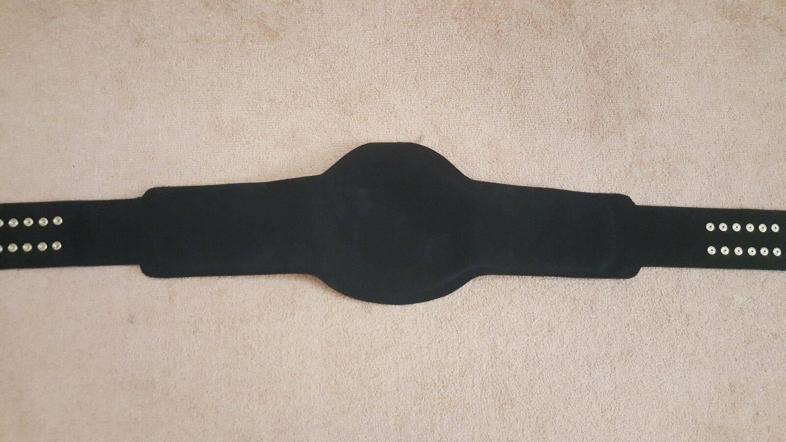 WCW WORLD HEAVYWEIGHT Brass Championship Belt - Image 3
