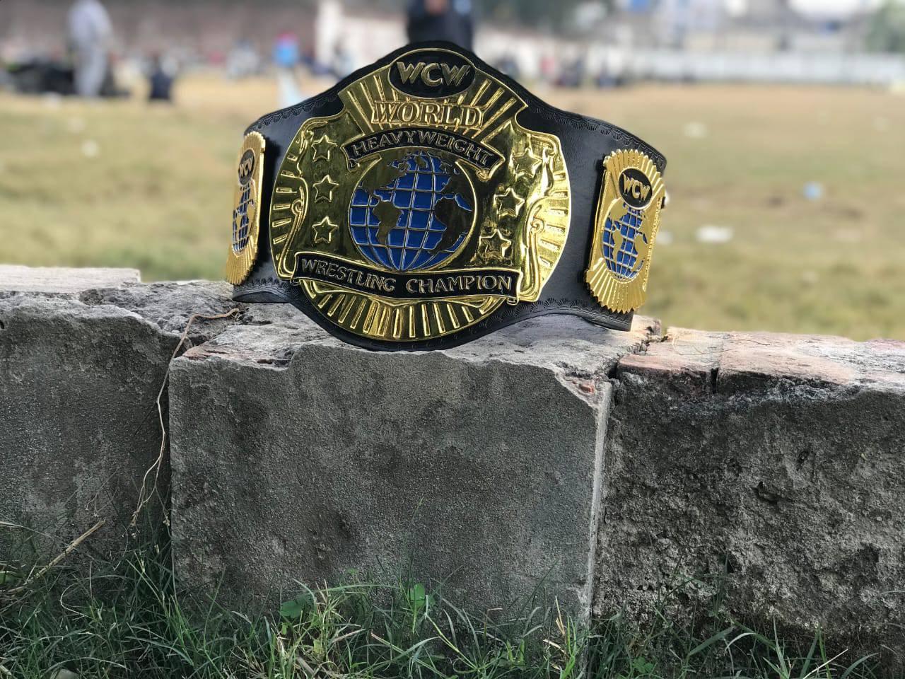WCW WORLD TAG TEAM 24K GOLD Championship Belt - Image 5