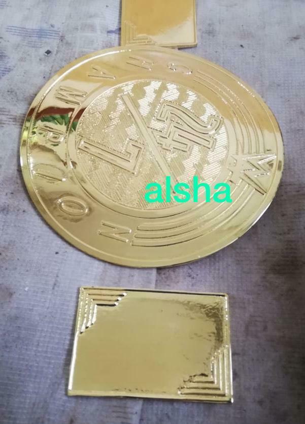 WWE 24/7 Zinc Championship Belt - Image 9