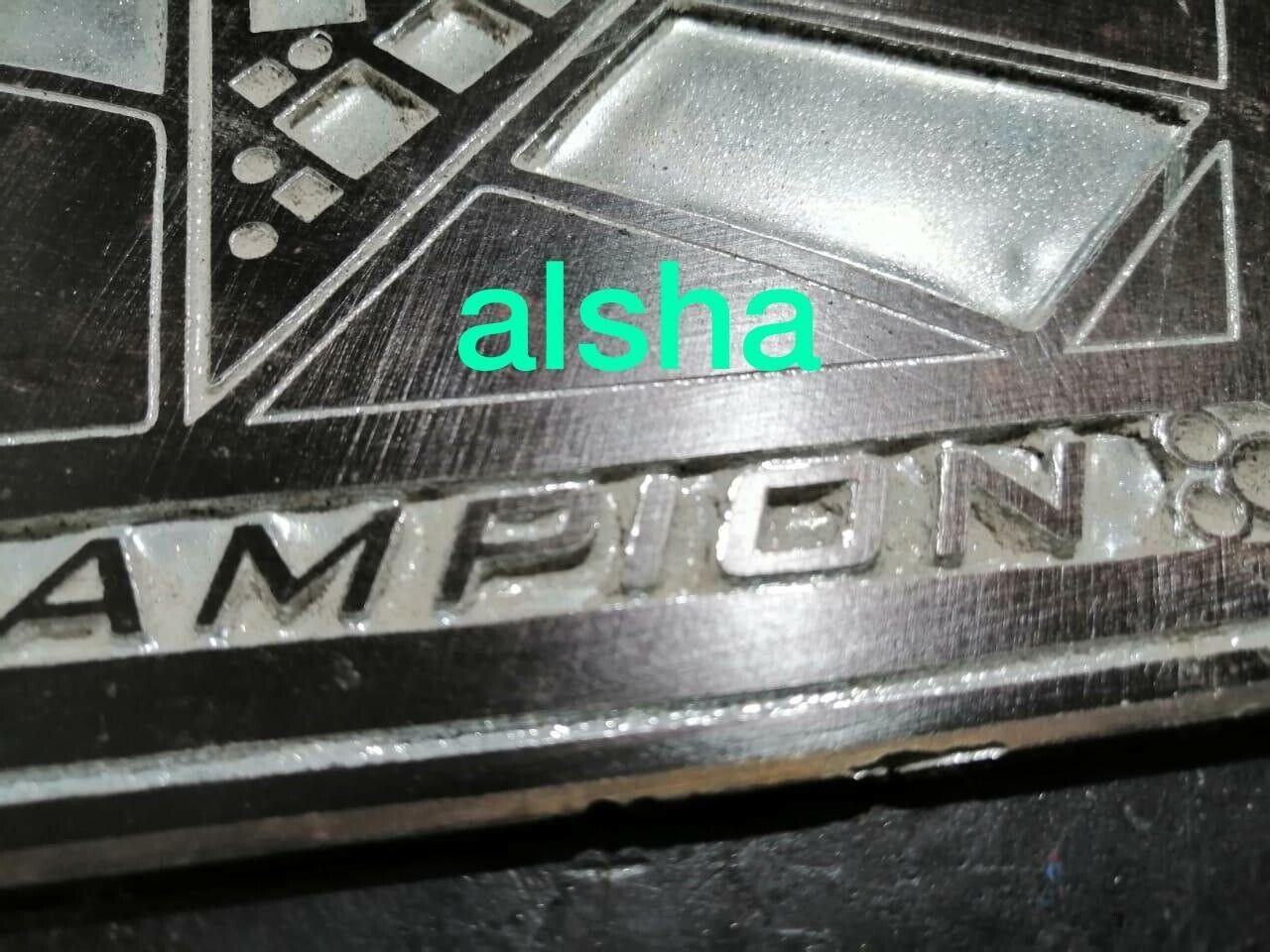 WWE RAW WOMENS Zinc Championship Belt - Image 6