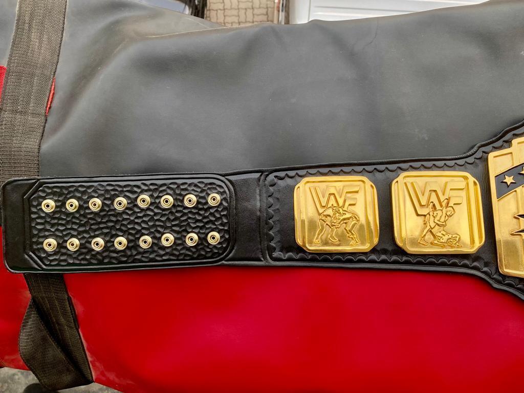 WWF INTERCONTINENTAL CNC HD CHAMPIONSHIP BELT - Image 7